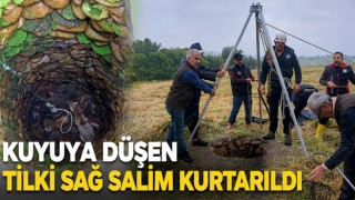 Kuyuya Düşen Tilki Sağ Salim Kurtarıldı