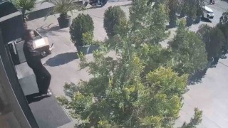 Maltepede kargoyla uyuşturucu teslimatına baskın: 5 bin 400 gram marihuana ele geçirildi