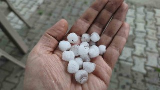Manisayı dolu vurdu