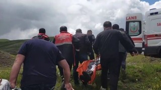 Mantar toplarken ayı saldırısına uğradı
