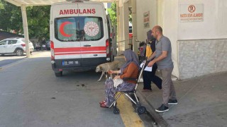 Mantar yiyen 7 kişi zehirlenme şüphesiyle hastaneye kaldırıldı