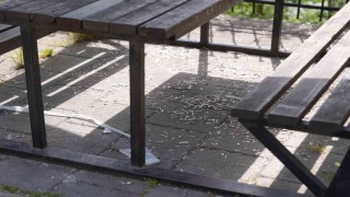 Melen Su Parkta utandıran manzara