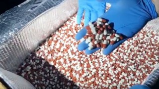 Mersinde 317 bin 285 adet uyuşturucu hap ele geçirildi