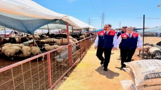 Mersinde Kurban Bayramı öncesi satış noktalarında sıkı denetim