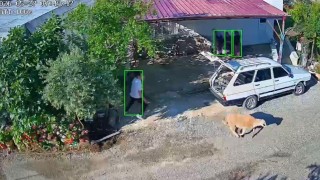 Mersinde kurbanlıklar kaçtı, bayram neşesi kameralara yansıdı