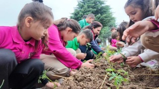 Minik elleriyle fideleri toprakla buluşturdular