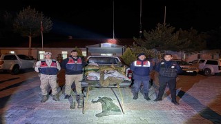 Muradiyede 630 kilo inci kefali ele geçirildi