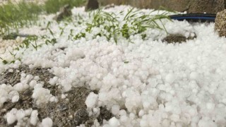 Muşta dolu yağışı etkili oldu