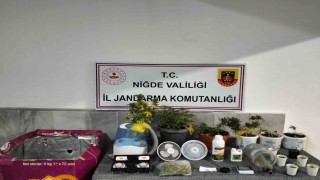 Niğdede yasadışı kenevir yetiştirenlere operasyon