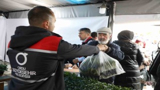 Ordu Büyükşehir, 7 yılda 5 milyona yakın fide dağıttı