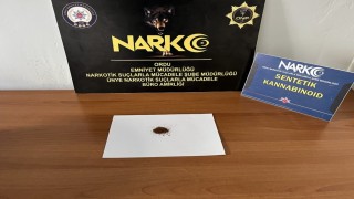 Orduda uyuşturucu operasyonu