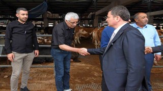 Osmangazide kurban satış ve kesim alanları hizmete hazır