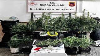 Osmangazide uyuşturucu operasyonu: 1 şüpheli tutuklandı