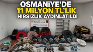 Osmaniye’de 11 Milyon TL’lik Hırsızlık Aydınlatıldı
