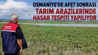 Osmaniye’de Afet Sonrası Tarım Arazilerinde Hasar Tespiti Yapılıyor