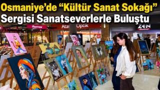 Osmaniye’de “Kültür Sanat Sokağı” Sergisi Sanatseverlerle Buluştu