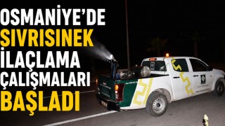 Osmaniye’de Sivrisinek İlaçlama Çalışmaları Başladı