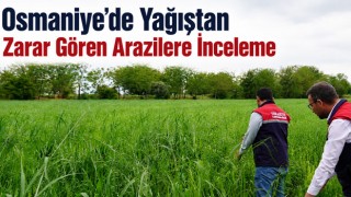 Osmaniye’de Yağıştan Zarar Gören Arazilere İnceleme