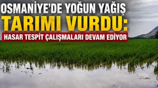 Osmaniye’de Yoğun Yağış Tarımı Vurdu: Hasar Tespit Çalışmaları Devam Ediyor