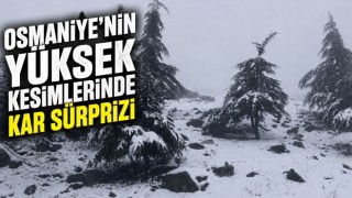 Osmaniye’nin Yüksek Kesimlerinde Kar Sürprizi