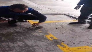 Otomobilin motoruna giren yavru kedi kurtarıldı