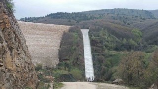 Pazaryeri tarımında altın dönem başlıyor