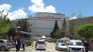 Piknikte akrep sokan kadın hastanelik oldu