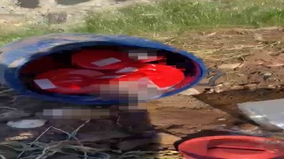 Plastik kutularda 21 cenin bulundu