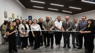 Polen peşindeki yaban arıları resim sergisi açıldı