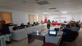 Sağlık çalışanlarına doğum süreci ve yenidoğan bakımı eğitimi