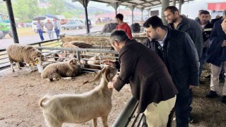 Şahin ve Çetinkayadan Kurban satış alanına ziyaret
