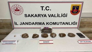 Sakaryada 2 ilçede uyuşturucu operasyonu: 2 tutuklama