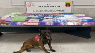 Sakaryada kaçakçılığa jandarma izin vermiyor