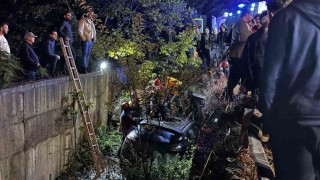 Sakaryada otomobil dereye uçtu: 1 yaralı