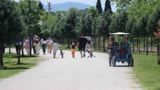 Sakaryada vatandaşlar bayramın ilk gününde tabiat parklarına akın etti