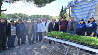 Salihlili üreticilere 34 bin sebze fidesi