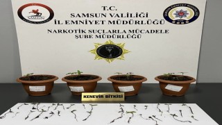 Samsunda uyuşturucu operasyonu: 4 gözaltı