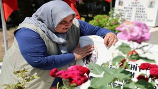 Şehit annesi: Yaşıyor muyum yaşamıyor muyum bilmiyorum