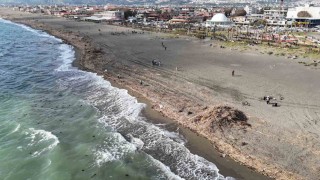Sel felaketinin ardından sahil şeridi odun ve atıklarla kaplandı