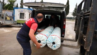 Seraları zarar gören üreticilere destek