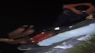 Seyhan Nehrinde can pazarı