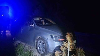Seyir halindeki otomobile geyik çarptı: 2 yaralı