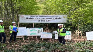 Silvikültür eğitim tatbikatı Yenicede tamamlandı
