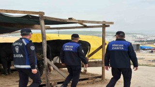 Sincanda kurban pazarlarında denetim aralıksız sürüyor