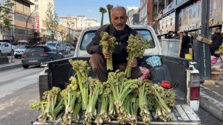 Sınırdan getirilen uçkunlar Yüksekovada satışa sunuldu