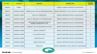 Sinopa 10u uzman 11 hekim atandı