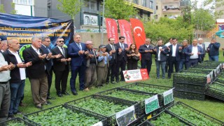 Şırnakta 252 üreticiye sebze fidesi dağıtıldı