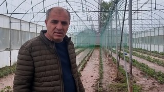 Sivasta dere taştı: Sera ve bahçeler sular altında kaldı