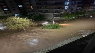 Siverekte dolu ve sağanak hayatı felç etti