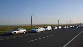 Siverekte gelincik tarlaları binlerce kişinin uğrak noktası haline geldi